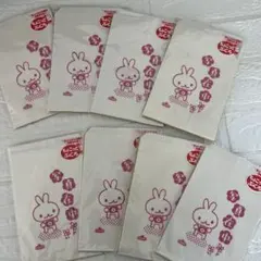 ちょこっとぶくろ 写真在中 ウサカメラ 8袋セット