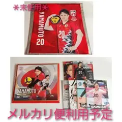 未使用＊　山本　バレーボール男子日本代表　男子バレー　色紙　トレカ　カード