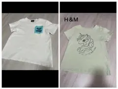 Ｈ＆Ｍ ユニコーン 半袖 Tシャツ 薄緑色