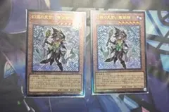 幻惑の見習い魔術師