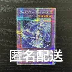 2026年最新】キトカロス プリズマ アジアの人気アイテム - メルカリ