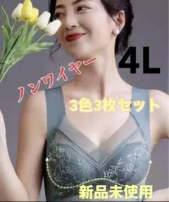 ノンワイヤー 4Lサイズ 3色3枚セット