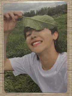 ニコラス タレントカード