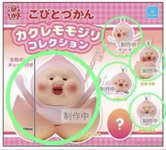 こびとづかん カクレモモジリ Funism 未開封BOX 海外限定 正規品