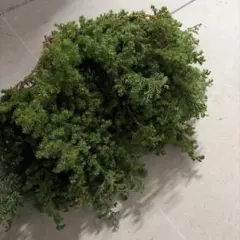 Kurian様 リクエスト 2点 まとめ商品