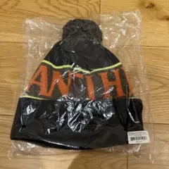 anti hero ニット帽