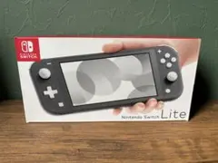 Nintendo Switch Lite グレー　画面保護フィルム付き