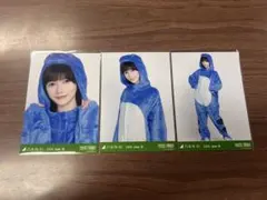 乃木坂46 池田瑛紗 生写真 恐竜 福井 真夏の全国ツアー - メルカリ
