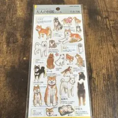 えだまめ様 リクエスト 2点 まとめ商品