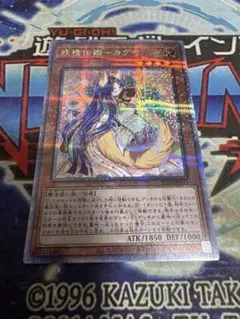 2025年最新】クォーターセンチュリーシークレットの人気アイテム