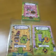 たまごっちのプチプチおみせっち　カード＆フレーム　3個セット