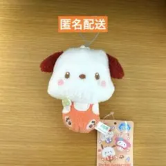 ☆匿名配送☆ サンリオキャラクターズ ポコポコきのこマスコット1 ポチャッコ