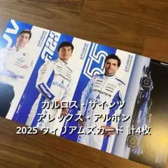 2026年最新】カルロス・サインツの人気アイテム - メルカリ