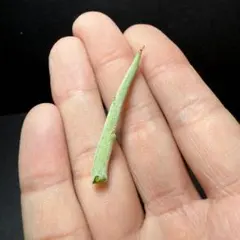 みつ様 リクエスト 2点 まとめ商品