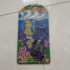 動作確認済】海で発見！！たまごっち 透明(波) - メルカリ