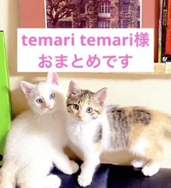 temari temari様 リクエスト 2点 まとめ商品
