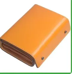 Item thumbnail for item 5074d260-e658-41df-bb30-2749fcd4c663