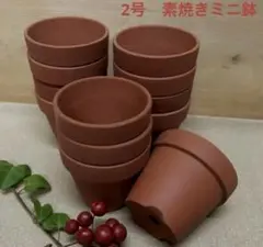 未使用/訳有り特価❕常滑焼/素焼き/植木鉢/2号/12個組　ミニ植木鉢のサムネイル