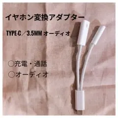 イヤホン変換アダプター 2in1 USB Type C 3.5mm オーディオ