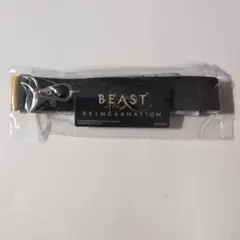 【限定！新品未開封品！】Beast of Reincarnation ストラップ