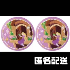 Disney Characters【塔の上のラプンツェル】刺繍缶バッジ★2セット