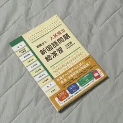 新国語問題総演習 三訂版