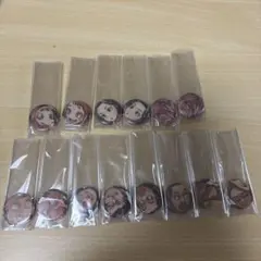 ヒロアカ 全サ 缶バッジ 14個セット