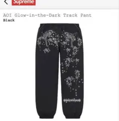 Supreme AOI Glow-in-the-Dark Track Pantのサムネイル