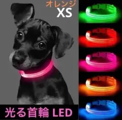 Item thumbnail for item c03ff2fe-2c04-458d-aa49-c31362216b57