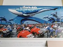 Item thumbnail for item dc7c5b55-afd1-4bef-b66c-462cbd6f1d33