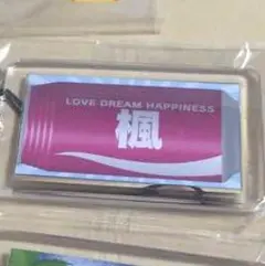 楓 ネームキーホルダー 居酒屋えぐざいる