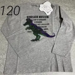 新品 男の子 120cm 長袖Tシャツ リバーシブルスパンコール 恐竜 グレー②