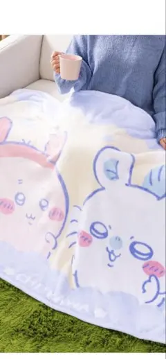 ちいかわ ✩.*˚BIGマイヤーブランケット モモンガ 古本屋
