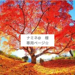 ナミネ様☆ご確認用ページ