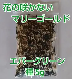 asuka♡おまとめ割・フォロー割あり様 リクエスト 2点 まとめ商品