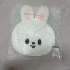 Straykids リノ Leebit うちわケース ソウルコン BABY