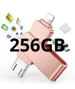 usbメモリ 256gb