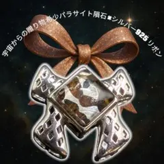 【特価】③宇宙からの贈り物―希少パラサイト隕石×シルバー925リボン神秘を胸元に