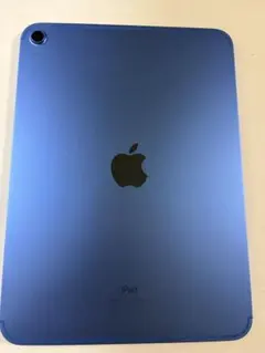 Apple iPad 10世代本体 ブルー - メルカリ