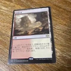 M*K様 【美品】乾燥台地 日本語 2枚 - メルカリ