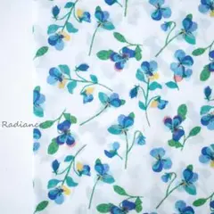 Item thumbnail for item 3e55b8e6-885c-4472-95bc-d28ff07aae34