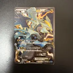 포켓몬 カード ブラックキュレムEX SR