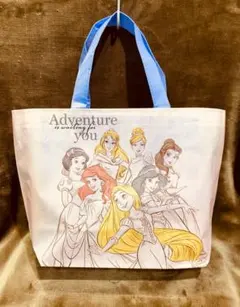 【新品 未使用】 ディズニー プリンセス レッスンバッグ ライトピンク