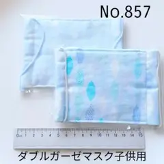 857 ダブルガーゼマスク子供用2枚セット　ハンドメイド