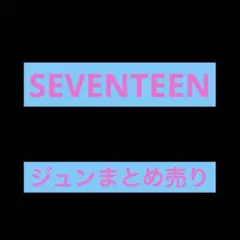 SEVENTEEN ジュンまとめ売り
