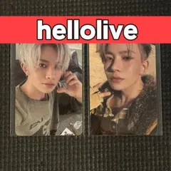 ENHYPEN sin vanish hellolive ハロラ ヒスン トレカ