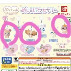 ぷちきゅあ～Precure Fairies～ めじるしアクセサリー　3点セット