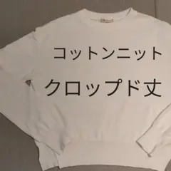 Item thumbnail for item 3fdbc534-72f2-4c5e-a481-0c195c94b675