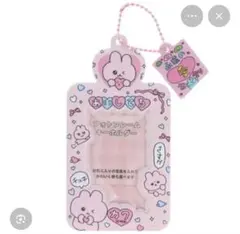 チェゴシムフォトフレームキーホルダー　トレカケース　うさゴシム