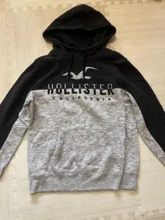 Hollister フード付きスウェットトレーナー